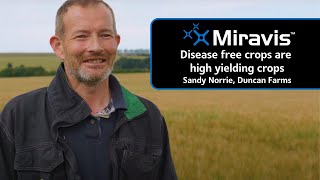 MIRAVIS® Disease free crops are high yielding crops [upl. by Nordek]