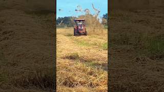 Tractor unique fieldworkshorts agriculturemodernfarmeryoutbeshortsnoamanreactioncropmanagement [upl. by Rubinstein203]