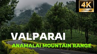 Road Trip to Valparai through Athirappilly Malakkapara Forest  4K [upl. by Maryjo275]