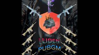 liden pubgm efirda [upl. by Essilrahc]