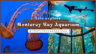 Astonishing Adventures At Monterey Bay Aquarium [upl. by Celle]