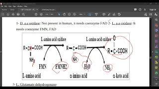 L67 Deamination [upl. by Rosalinde]