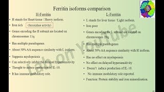 Ferritin Molecule 1B17 Ferritin isoform comparison [upl. by Innep211]