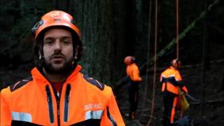 Vallombrosa Intervista a Matteo Cortigiani Arboricoltore  tree climber [upl. by Orianna]