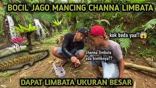 Limbata Granit di Alam [upl. by Nihcas130]