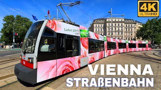 Straßenbahn Wien  Tram in Vienna Austria 2024 [upl. by Jacinda144]