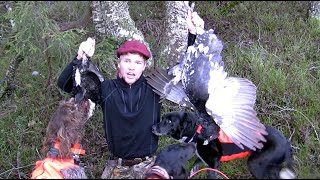 Skogsfugljakt i Tiurens Rike del 2 capercaillie and black grouse hunting [upl. by Lorolla]