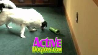 Busy Buddy Linkables Dog Toy  wwwActiveDogToyscom [upl. by Einaffets]