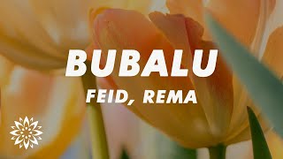 Feid Rema  Bubalu LetraLyrics [upl. by Kwon]