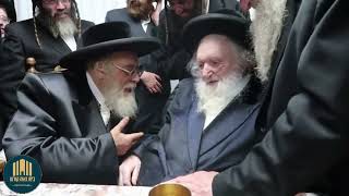 Toldos Aharon Rebbe Visiting R Moshe Sternbuch  Tammyz 5783 [upl. by Inoek179]