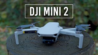 Is the DJI Mini 2 SE Just Cheap or Worth Buying [upl. by Treblihp]