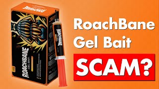 RoachBane Gel Bait Review  Legit or Scam [upl. by Adalia]