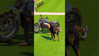 GTA V  Dogs teaches us love in its purest form  Part 31  shorts youtubeshorts [upl. by Mayberry]