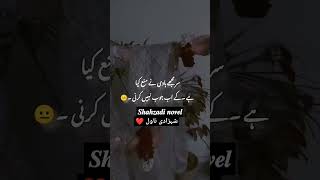 Romantic novels in Urdu Whatsapp status veryromanticnovelinurdu novellovers shahzadiinovel [upl. by Euqinay]