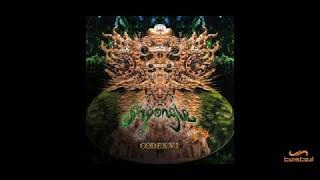 Shpongle  Celestial Intoxication [upl. by Whiffen]