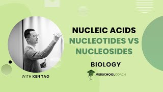 Nucleotides vs Nucleosides [upl. by Enileqcaj]