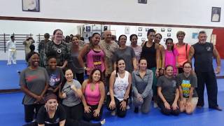 Atemi Ryu 2019 Womens Self Defense Seminar [upl. by Llehcram711]