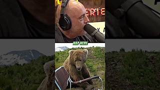 Joe Rogan’s FIRST Peaceful Bear 🫣 ft Brown Bear [upl. by Fife]