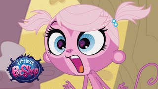 Littlest Pet Shop  ‘OmmmMG’ Original Short [upl. by Kostival]