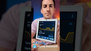 Home Assistant Dashboard auf shelly Wall Display [upl. by Sil418]