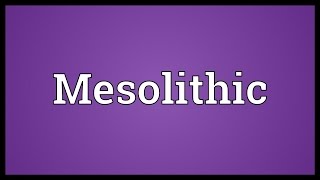 Mesolithic Meaning [upl. by Germin]