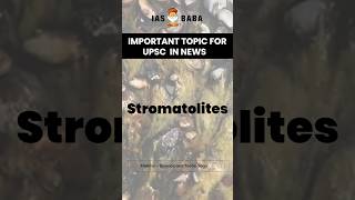 IMPORTANT TOPIC IN NEWS UPSC  Stromatolites Syllabus Prelims – Science and Technology  UPSC2025 [upl. by Blunt905]