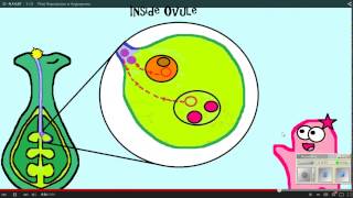 Plant Reproduction Amoeba Sisters WS 12 11 14 [upl. by Persons]