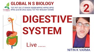 Digestive system Lecture 2 [upl. by Ahsaf954]