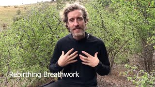 Rebirthing Breathwork [upl. by Engud]