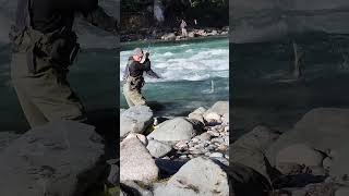 I caught a very dynamic salmon while fishingI ❤️ salmon fishing Vedder river Canada 🇨🇦 26 [upl. by Sokairyk]