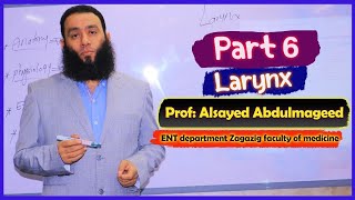 part 6 Larynx [upl. by Latricia]