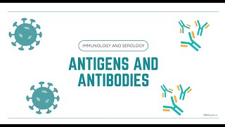 Antigens and Antibodies  Overview [upl. by Oal]