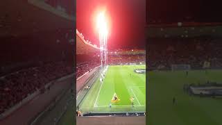 Wolverhampton wanderers light show at molineux [upl. by Ardnazxela]