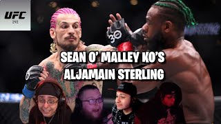 Sean OMalley KOs Aljamain Sterling UFC 292 Reaction [upl. by Pattin960]