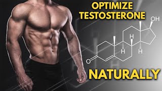 How To Optimize Your Natural Testosterone Levels [upl. by Notyard]