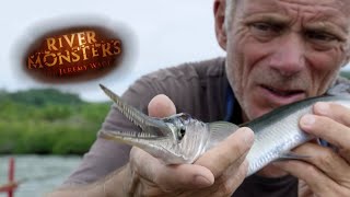 Can Jeremy Catch A Needlefish  NEEDLEFISH  River Monsters [upl. by Arikat379]