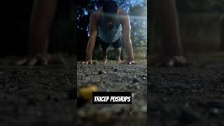 Tricep pushups 30 days in progress [upl. by Nanyt]