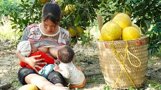 The single mom raised her two children with her own milk Harvest grapefruit goes to the market sell [upl. by Xxam]