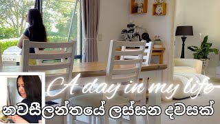 නවසීලන්තයේ ලස්සන දවසක්😍  සිංහල VLOG 55  New Zealand  Sri Lankan  Sinhala vlog [upl. by Delmor470]