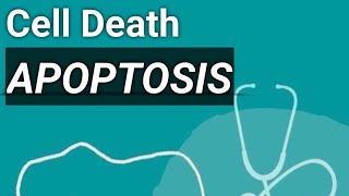 Apoptosis type of cell death robbins pathology [upl. by Horatio]