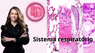 Histologia do Sistema Respiratório  Completo [upl. by Layla]