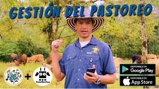 Gestión del Pastoreo mediante el uso de la App InnoBovino [upl. by Jon534]