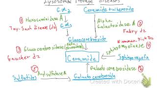 Lysosomal Storage Diseases [upl. by Jarrad]