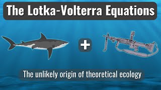 The LotkaVolterra Equations Sharks Machine Guns and Ecology [upl. by Katinka]