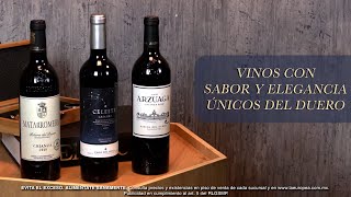 Vinos de la Ribera del Duero [upl. by Eevets]