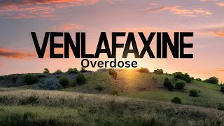 Effexor Venlafaxine Overdose A Case Study [upl. by Eelyr111]