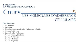 Les molécules d adhérence cellulaire [upl. by Quigley103]