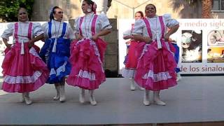 Grupo FLOR DE AMAPA Cuadro Folklórico de Chihuahua [upl. by Fortunio]