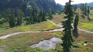 DJI Mini Drone 360” View Artist Point Mt Baker Washington djimini3 droneview dronevideo [upl. by Antipas418]