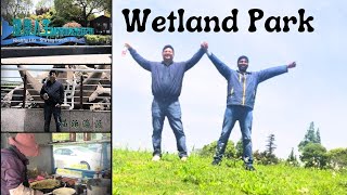 Healthey Life Starting From Wetland  Wetland Park Mini VlogచైనాలోteluguAmmayiVlogs [upl. by Nahpets375]